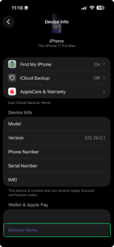 Option B - Using another apple devices 4